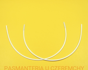 fiszbiny do biustonosza 31 cm/120 - 1 para     